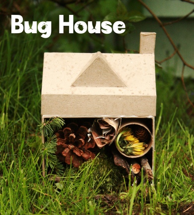 Bug House Title
